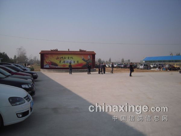 河南紅鼎公棚最新公告，自然美景探索之旅邀請啟動(dòng)