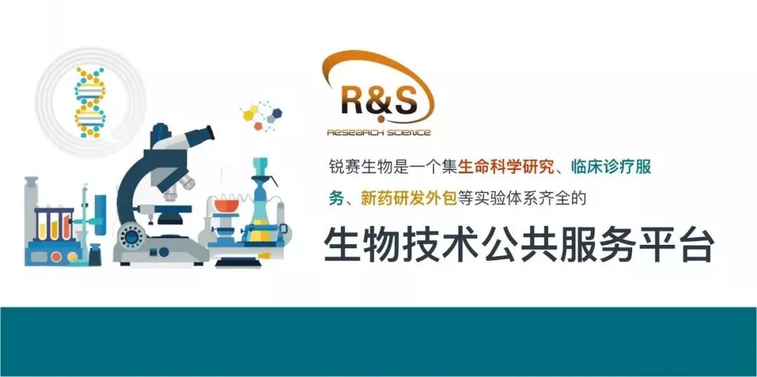 永銳最新招聘,永銳最新招聘啟事