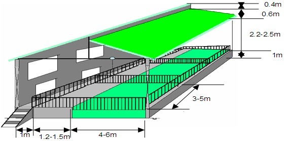 豬舍新建設(shè)計(jì)，打造舒適生態(tài)家園，為豬豬們創(chuàng)造優(yōu)質(zhì)居住環(huán)境！