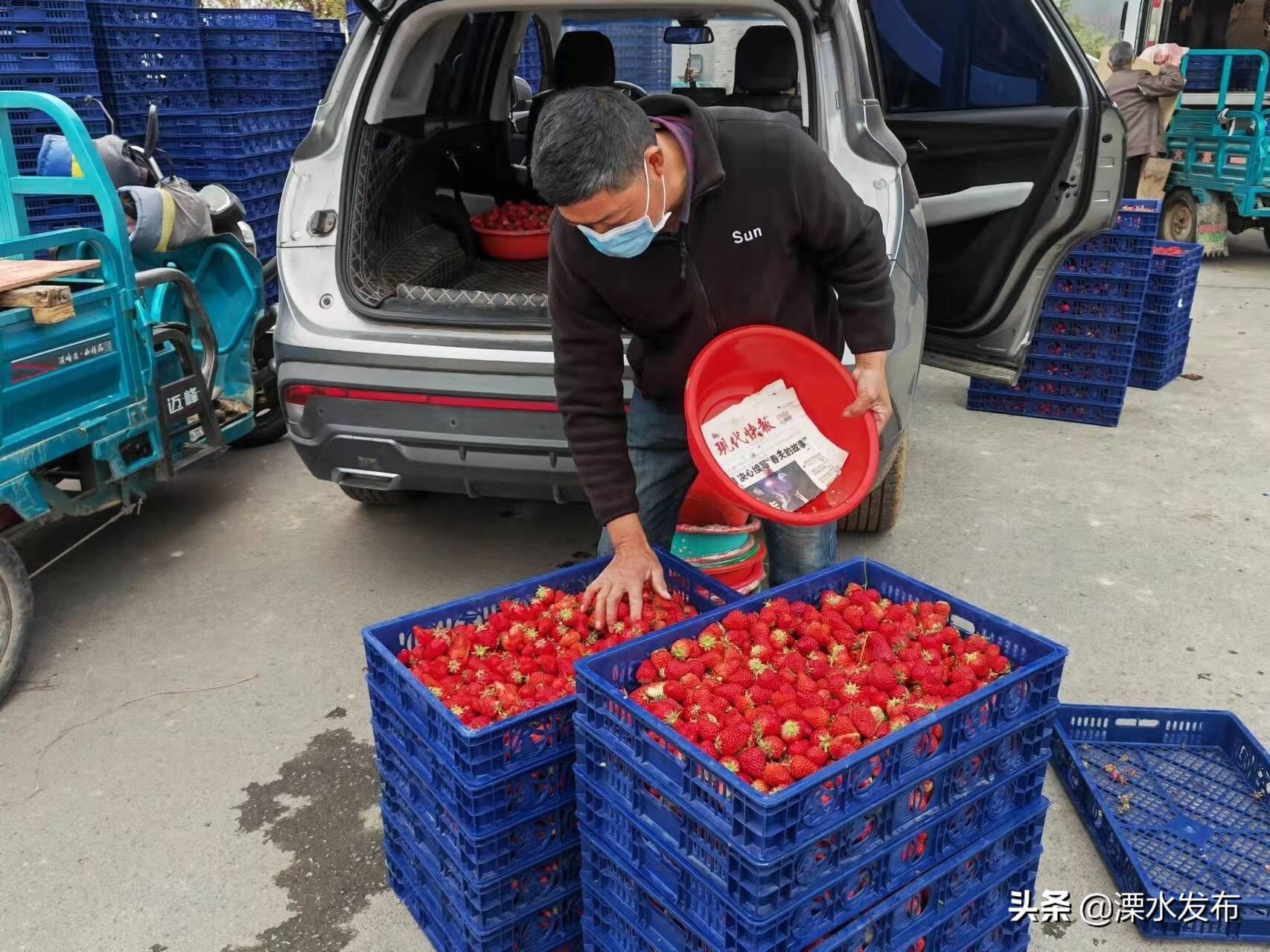 溧水上市企業(yè)，咖啡時光里的友情邂逅與日常溫暖
