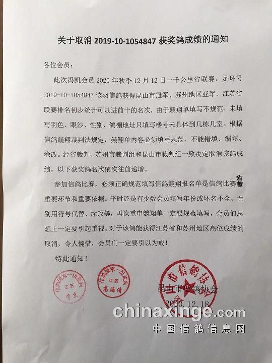 章丘信鴿協(xié)會(huì)最新公告，飛翔的溫情，友情的紐帶