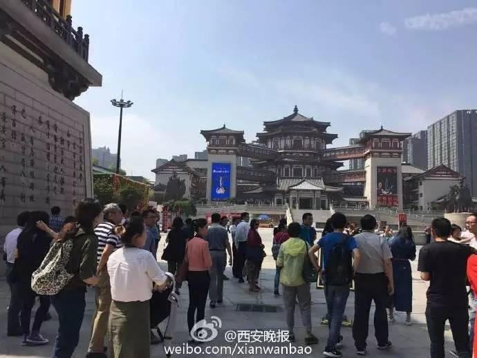 大唐西市最新動(dòng)態(tài)，自然美景探尋之旅