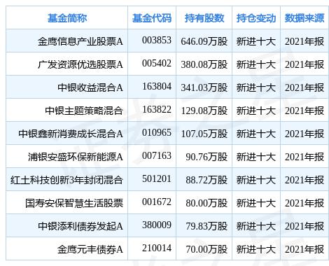 橫店東磁股票最新動態(tài)更新，最新消息與走勢分析