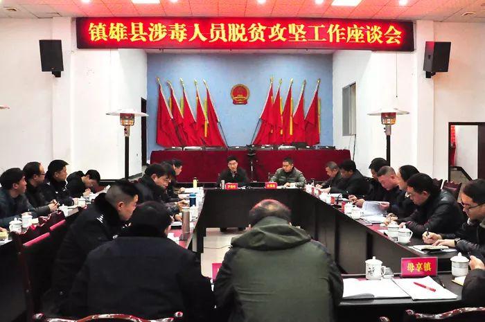 鎮(zhèn)雄大灣鎮(zhèn)最新動(dòng)態(tài)，揭秘最新消息????