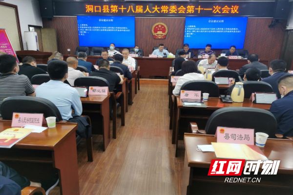 2025年洞口紅網(wǎng)下的溫馨日常最新消息