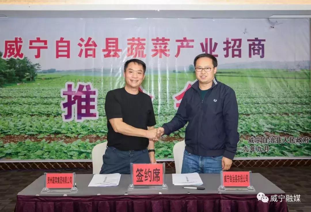 威寧雙龍鎮(zhèn)最新動態(tài)，小巷深處的獨特風味