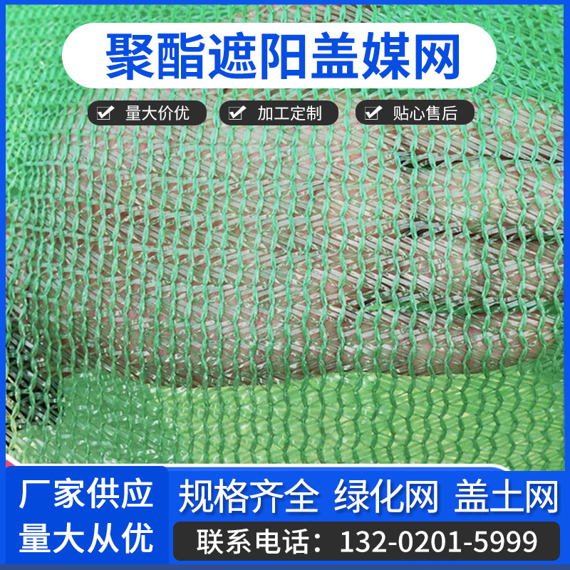 蓋網(wǎng)最新動態(tài)揭秘，一場溫馨的冒險之旅