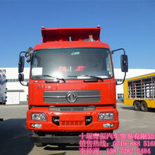 最新款輕量化貨車(chē)價(jià)格，路上的伙伴與溫情陪伴