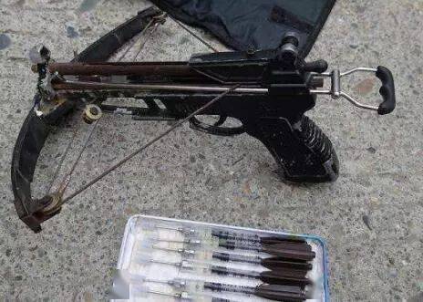 時代背景下的寵物管理利器，最新款麻醉打狗槍圖片曝光