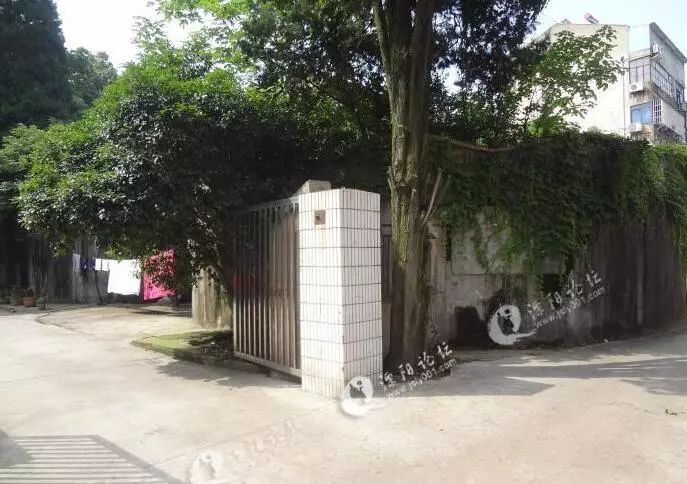 氟碳漆 第13頁
