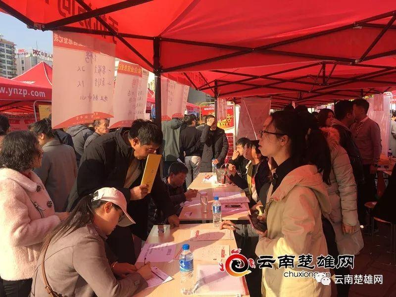 楚雄州委最新人事公示與小巷深處的獨特風(fēng)味揭秘