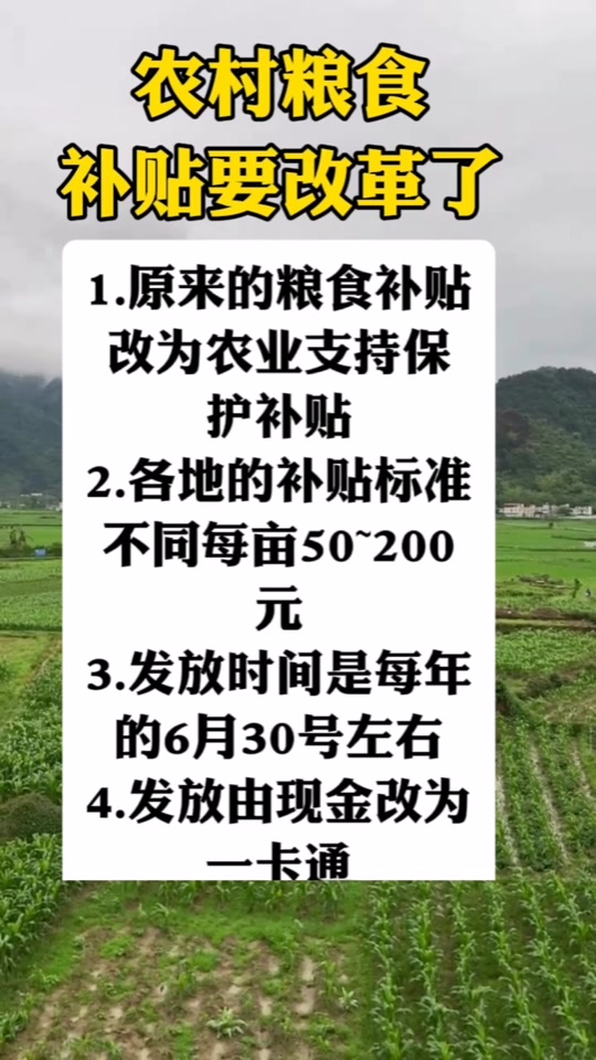 關(guān)于糧食直補(bǔ)的最新消息，展望2025年的政策動向